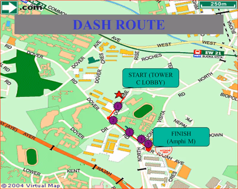 INSEAD Dash 2004